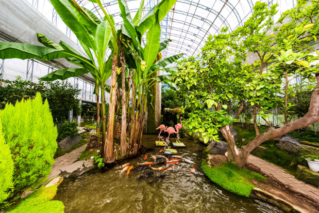 보령 개화예술공원 관광명소