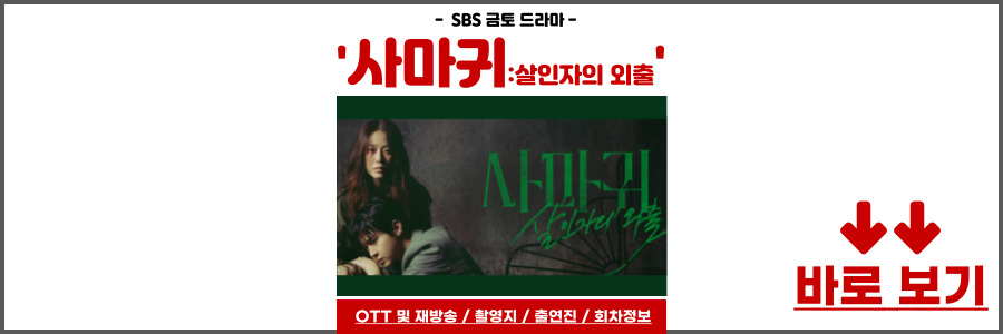 사마귀 살인자의 외출