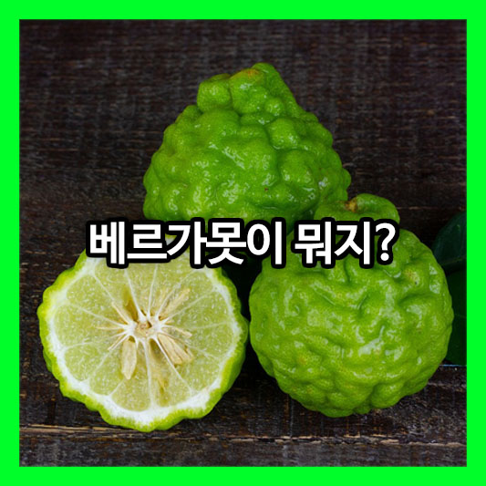 베르가못이 뭐지? 지중해의 신비로운 향과 건강의 열쇠