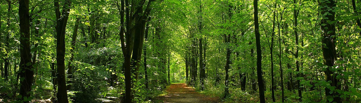 천연 항산화제가 풍부한 식품과 피부 노화 예방법