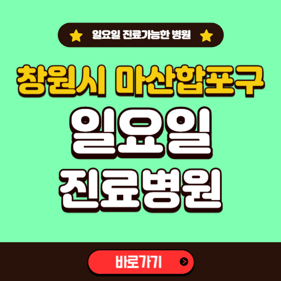 창원시 마산합포구 일요일 진료 가능한 병원 ❘ 주말 문여는 곳 총정리 (소아과, 내과, 안과, 치과, 피부과, 정형외과, 산부인과)