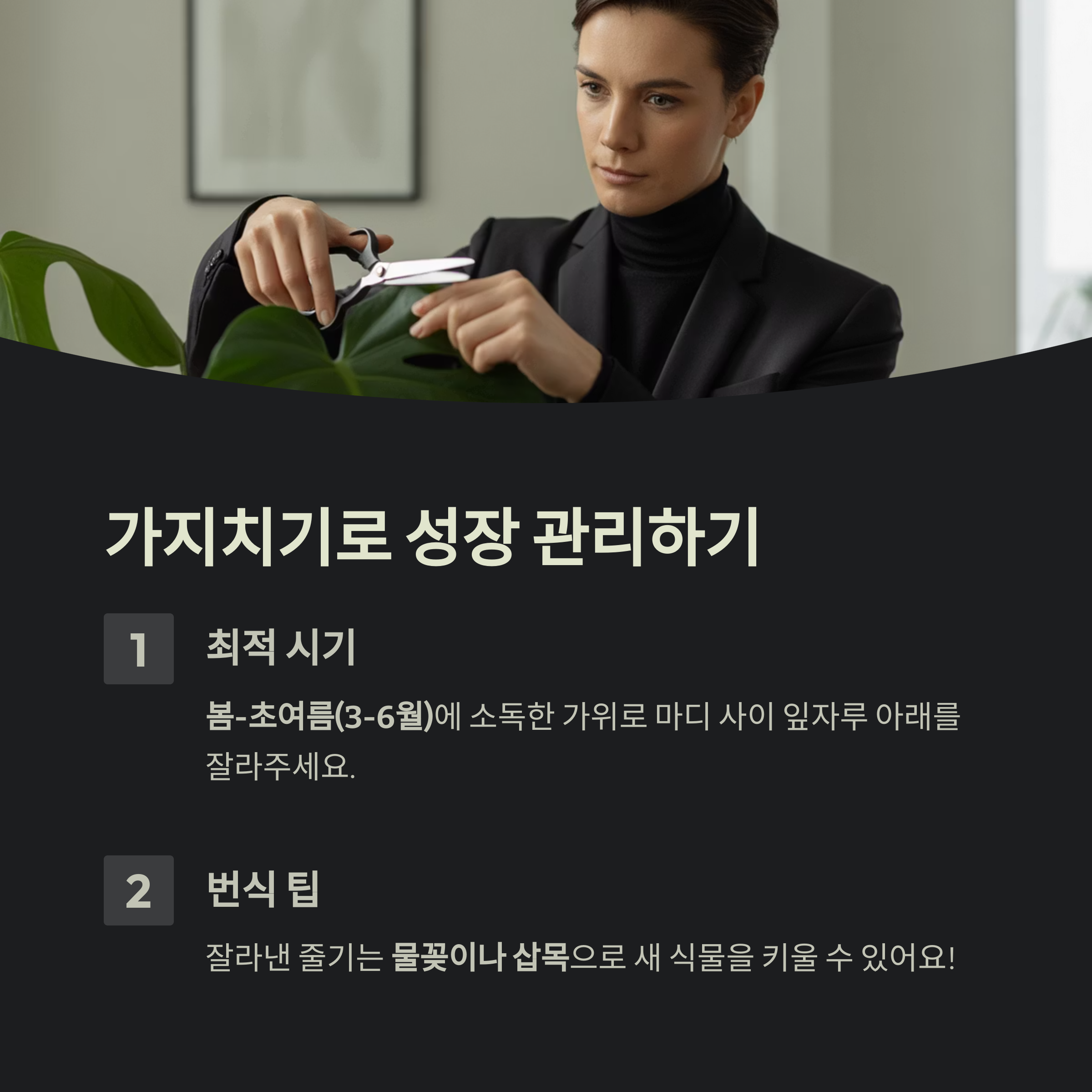 가지치기, 성장 관리의 핵심입니다