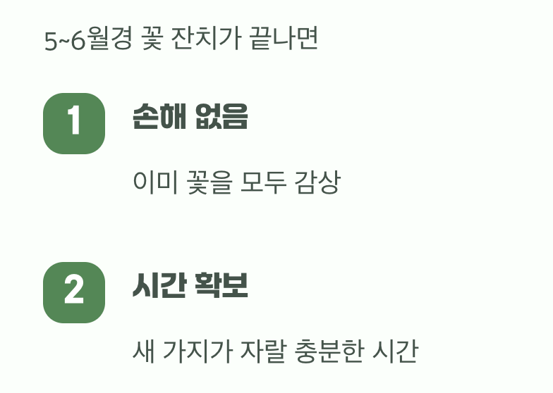 황금 타이밍, '꽃이 진 직후'