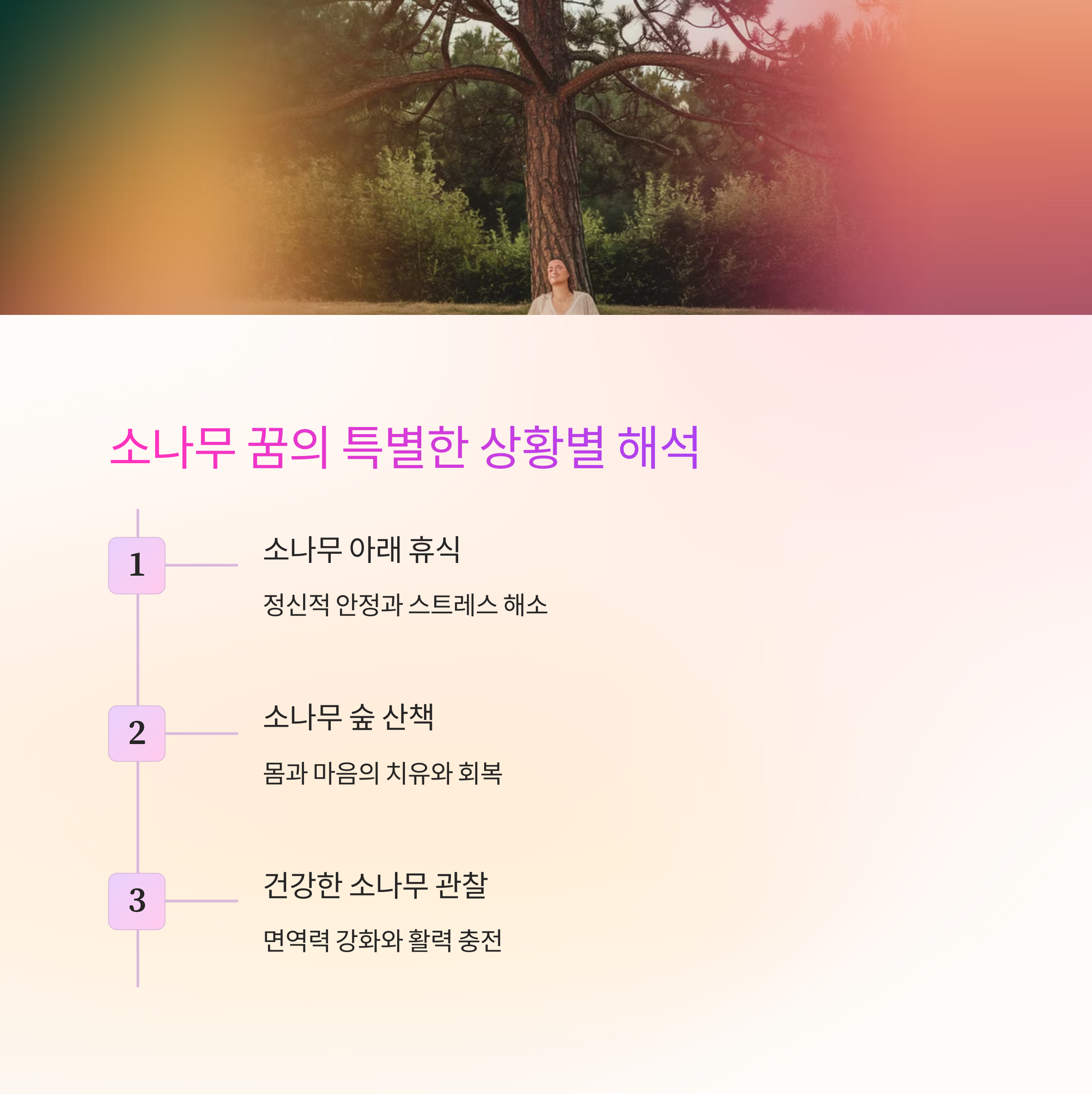 노송나무 소나무를 보는 꿈