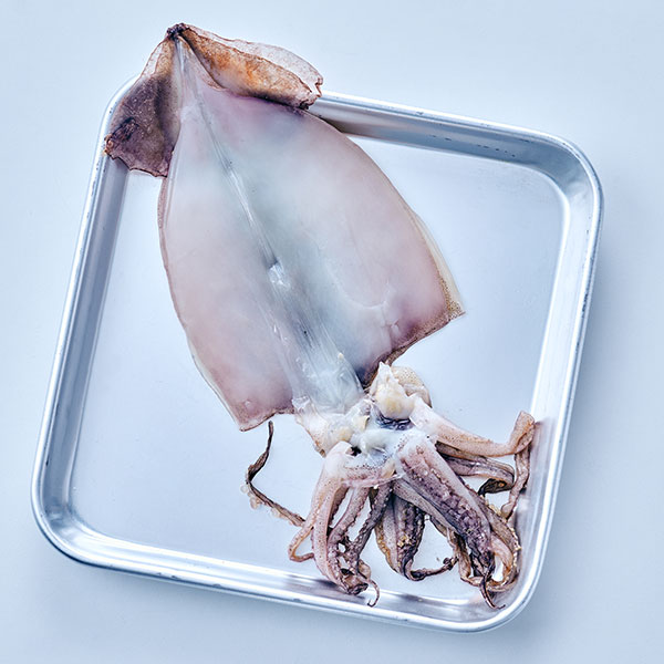 오징어 효능 및 부작용