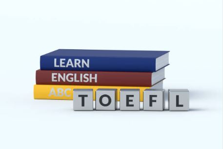 미국 대학 입학부터 졸업 후 취업까지, 필수 정보 총정리