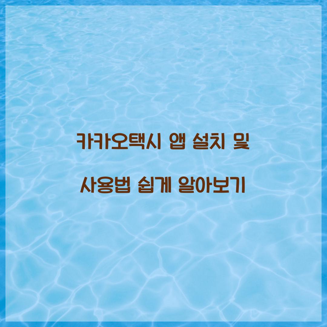 카카오택시 앱 설치