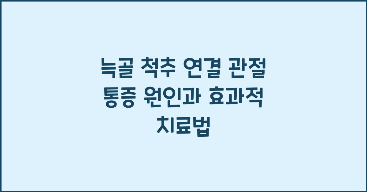 늑골 척추 연결 관절