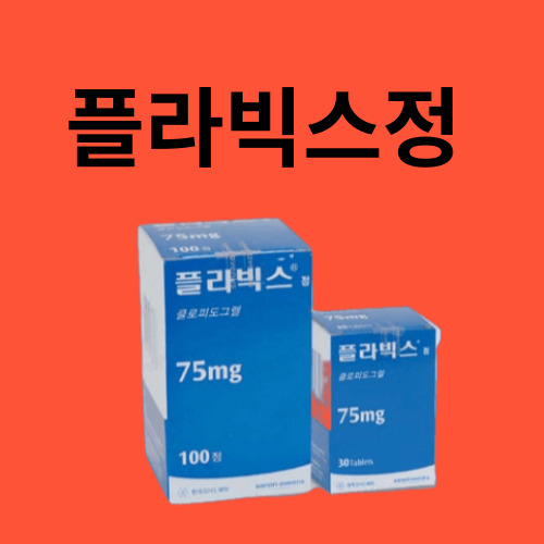 플라빅스정