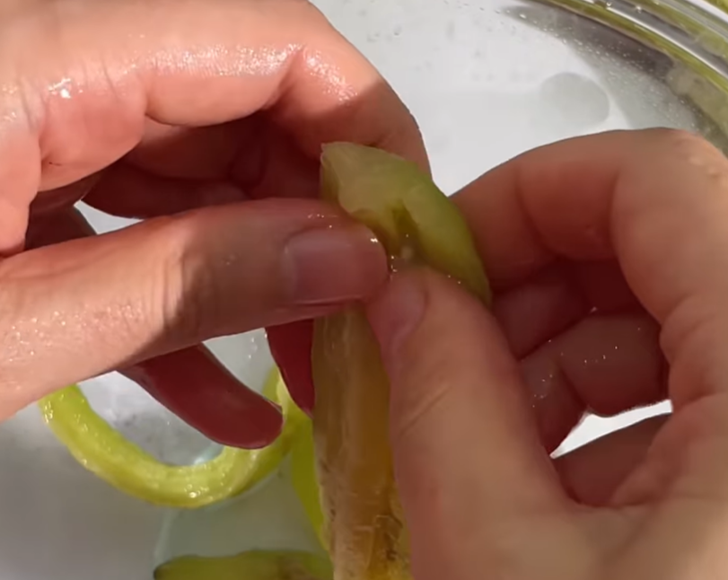 가지요리 : 가지육회