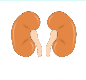 부모님영양제관련사진