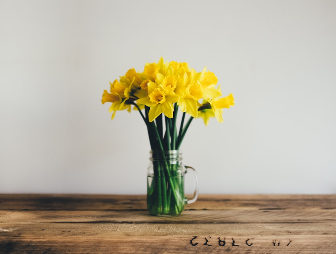 'Spring'