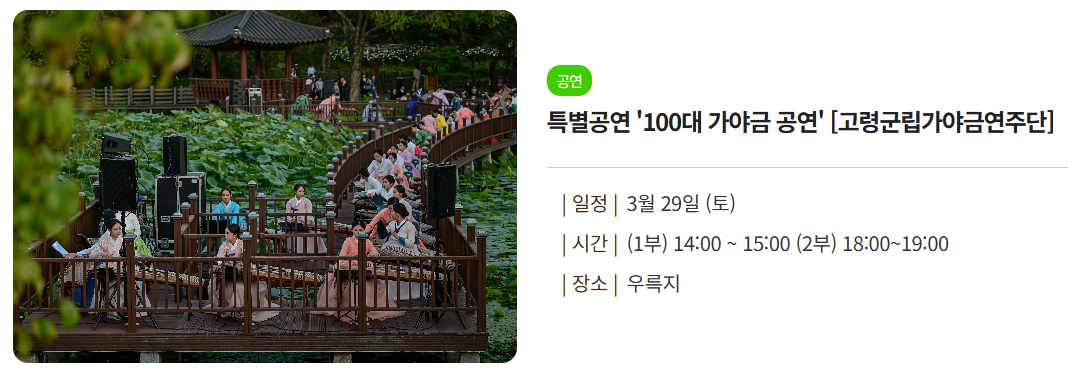2025 고령 대가야 축제 가야금 연주
