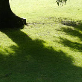 더위 먹었을때 증상