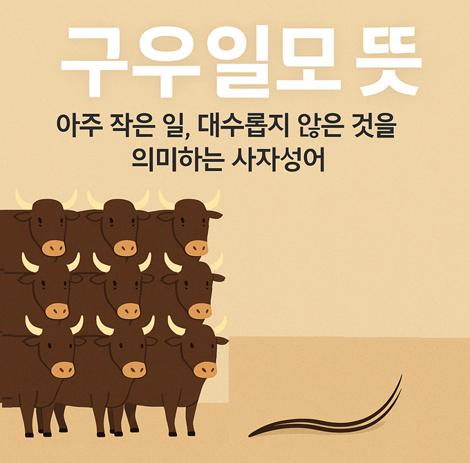 구우일모 뜻·유래·활용｜아주 작은 일, 대수롭지 않은 것을 의미하는 사자성어