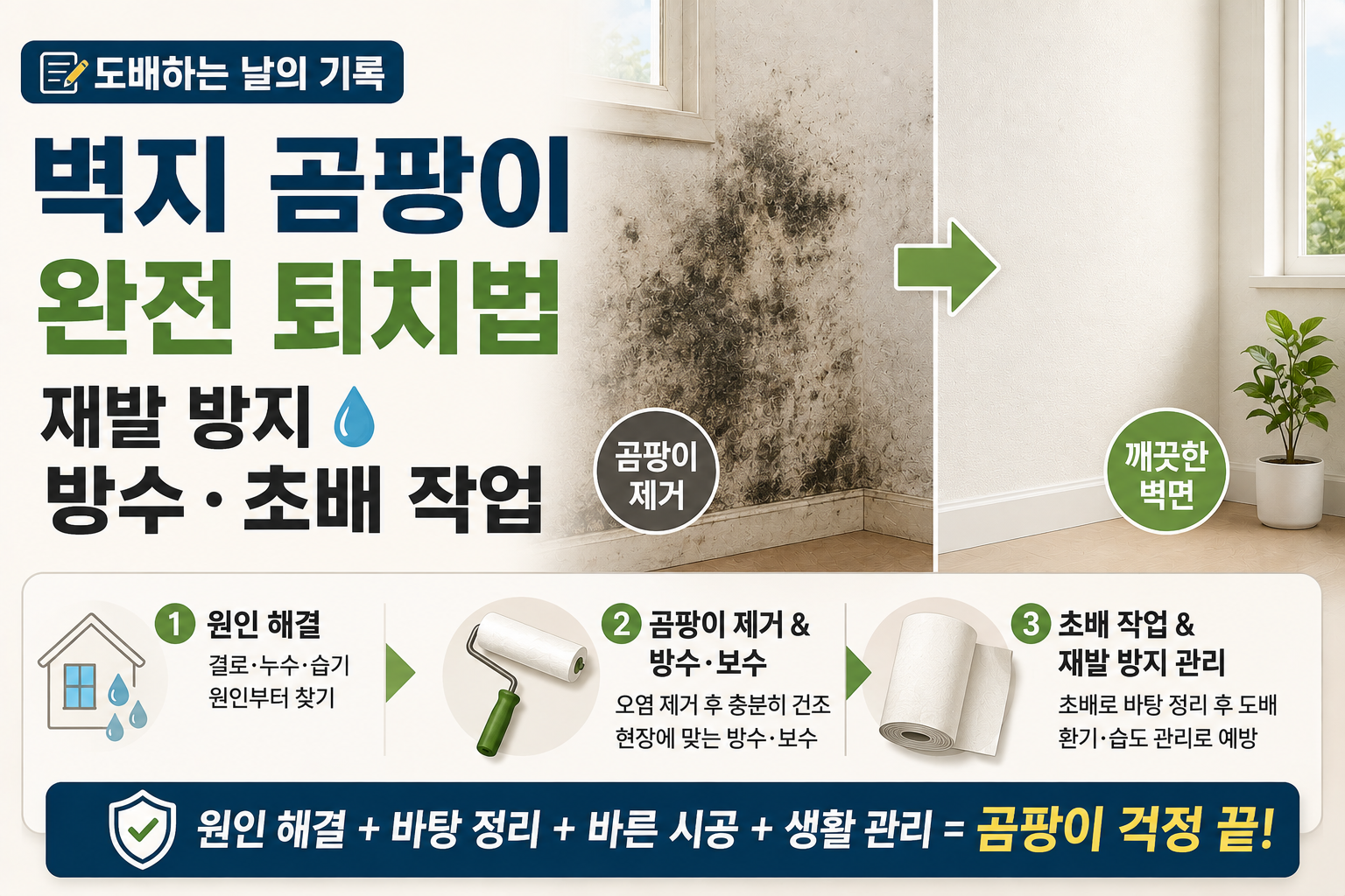 벽지 곰팡이 완전 퇴치법 및 재발 방지 방수·초배 작업