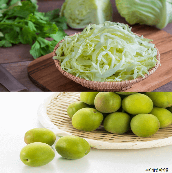 소화잘되는음식-양배추-매실