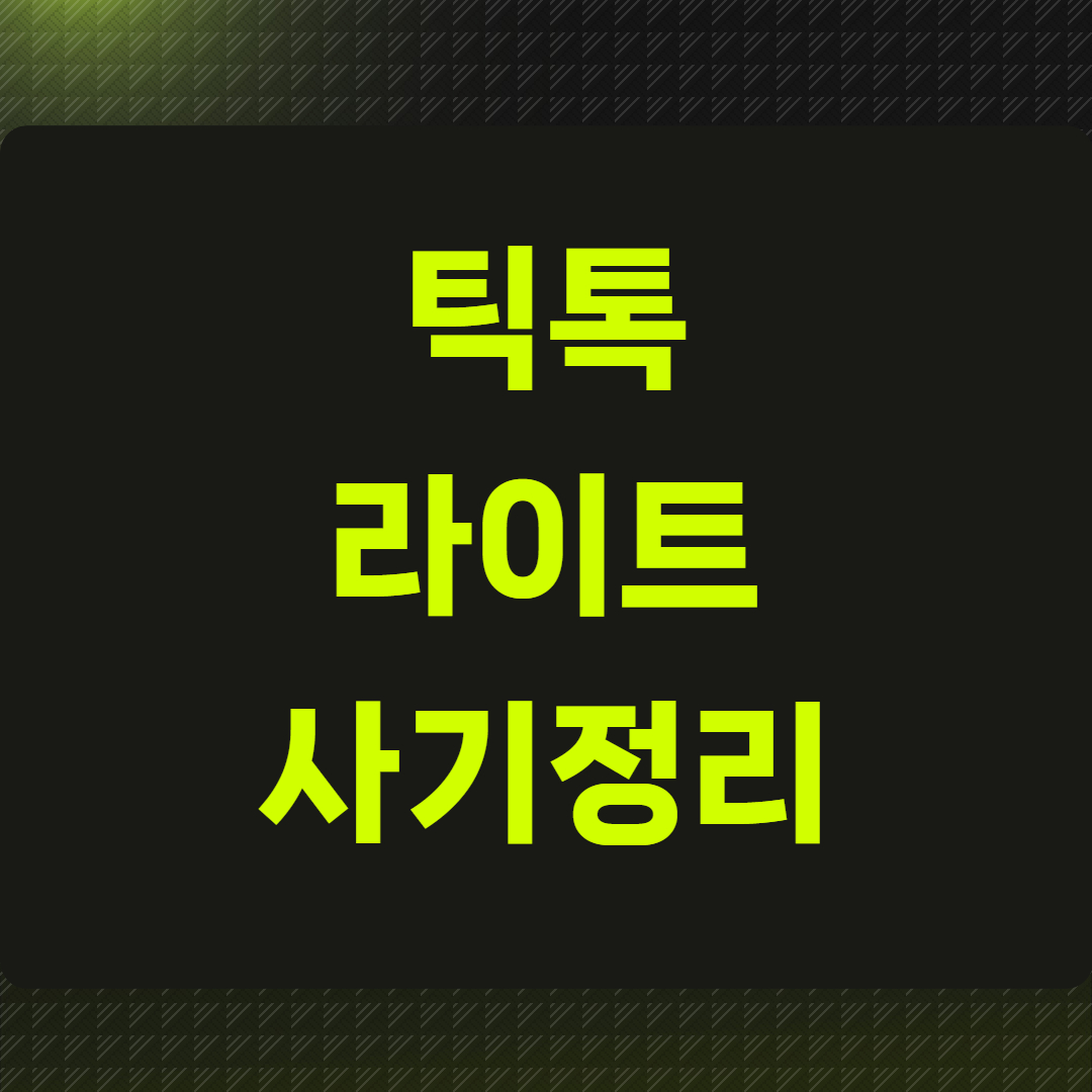 틱톡라이트 사기정리