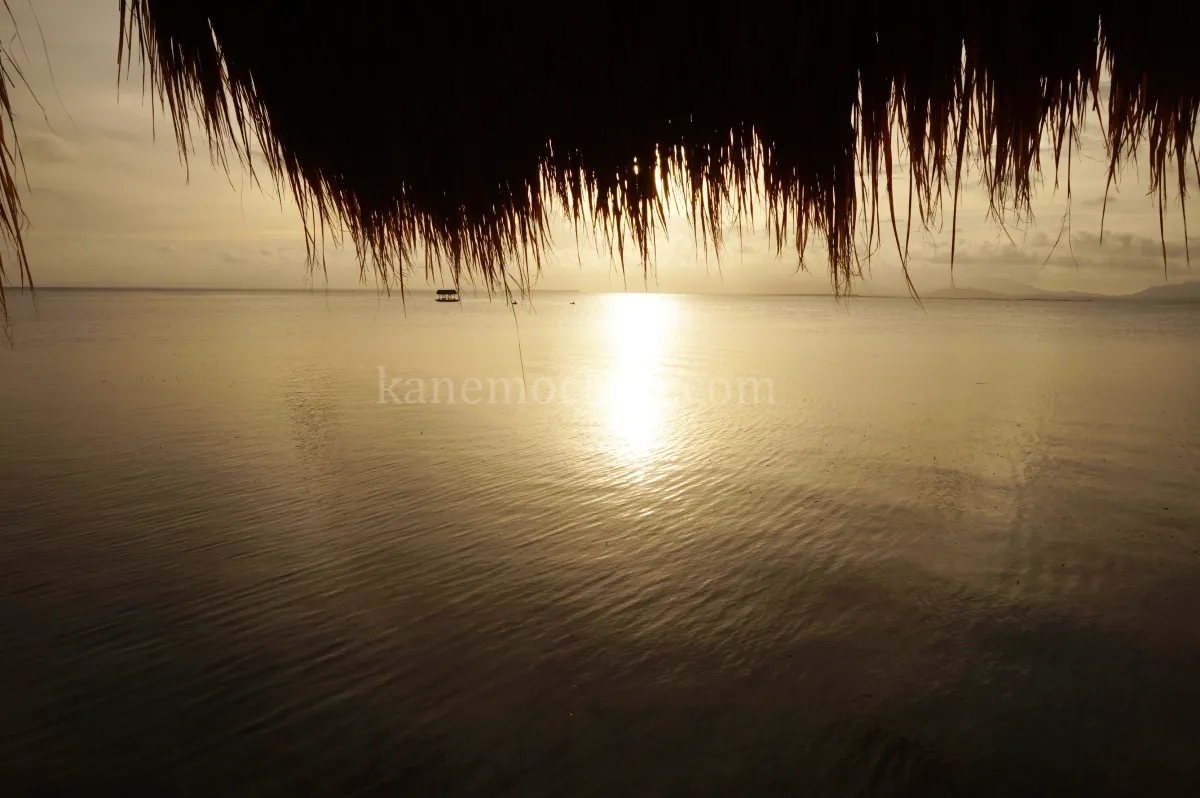 도스팔마스리조트-노을