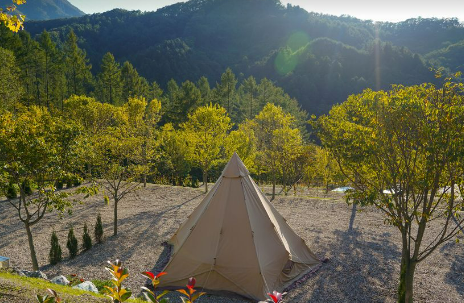 집 밖으로 캠핑장 D공간