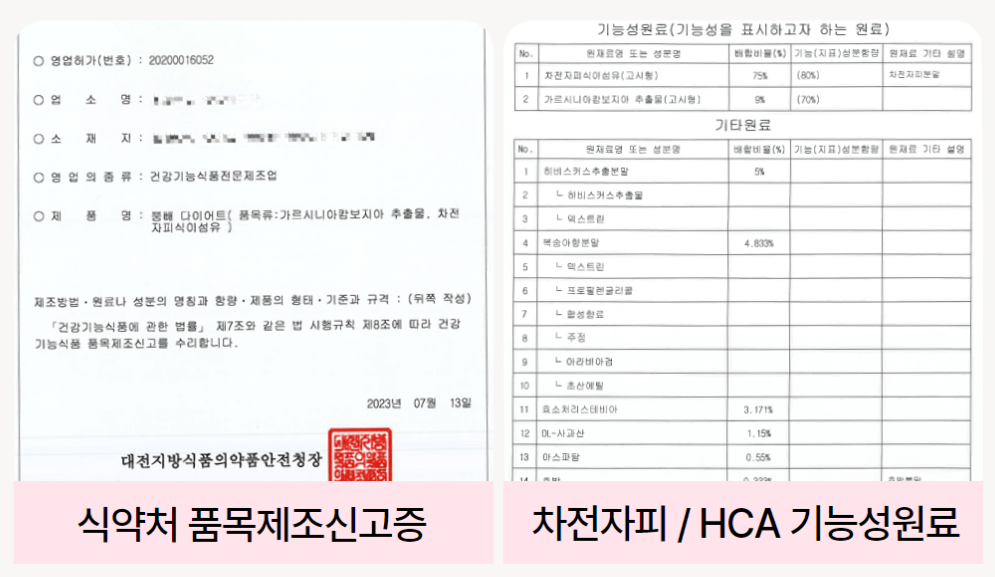 다이어트 보조제 순위 TOP 10