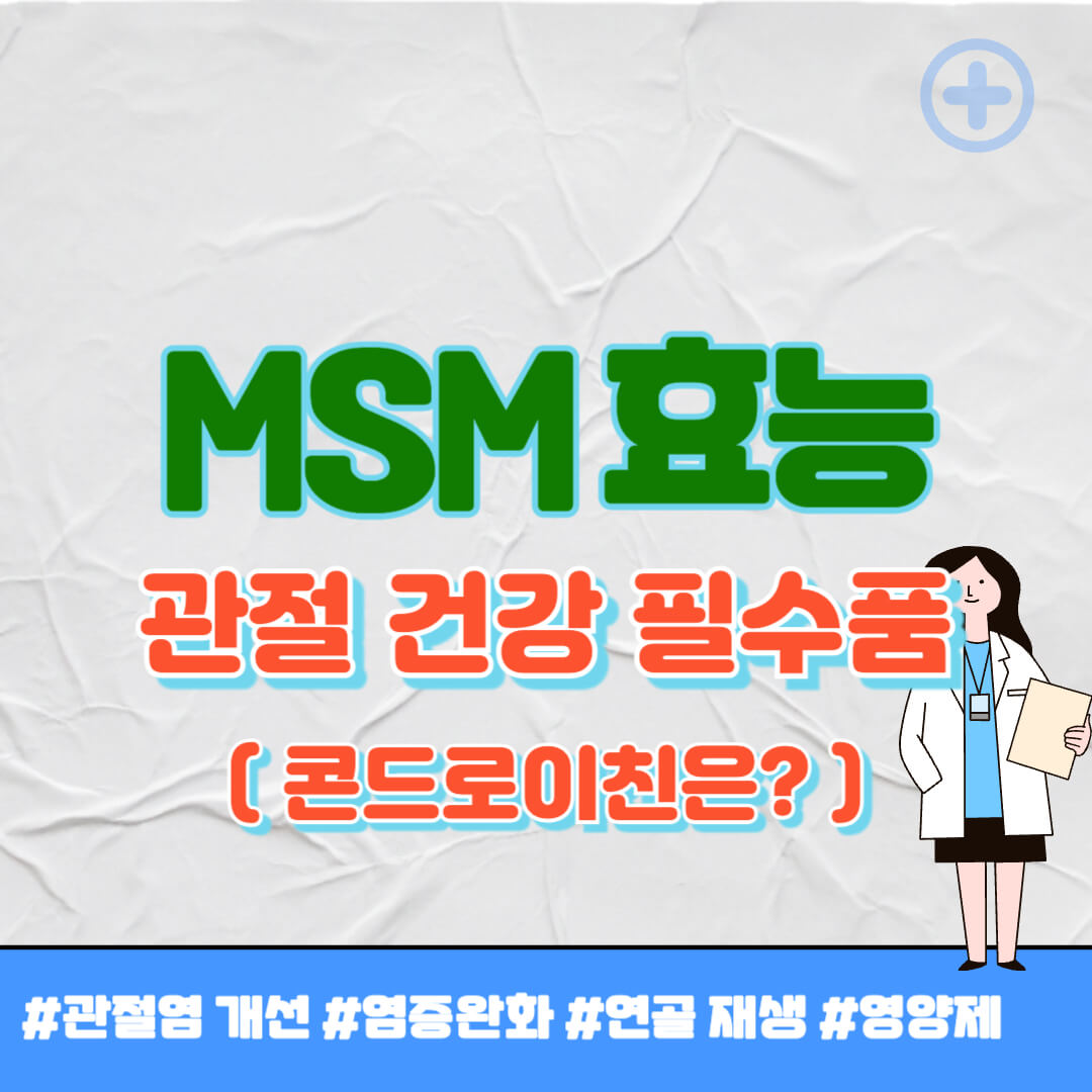 MSM의 효능 썸네일