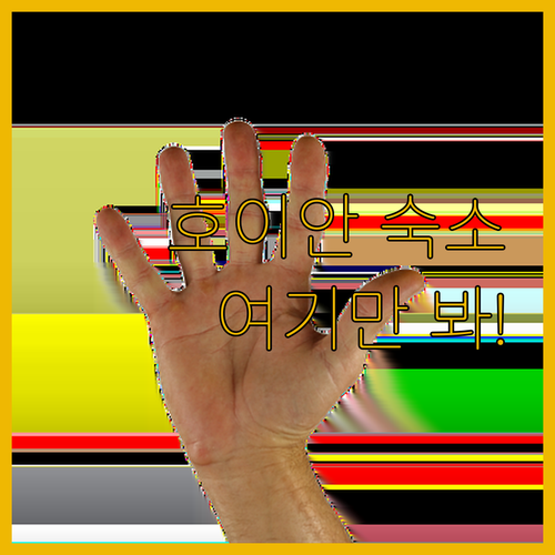 호이안 여행 준비물 1순위 만족도 높..