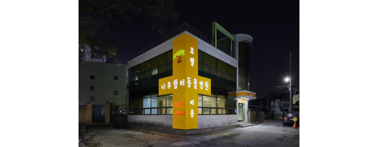 대전 중구 동물병원