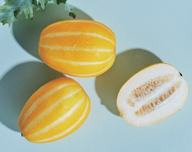 참외-효능-부작용-하루-섭취량-관련-사진