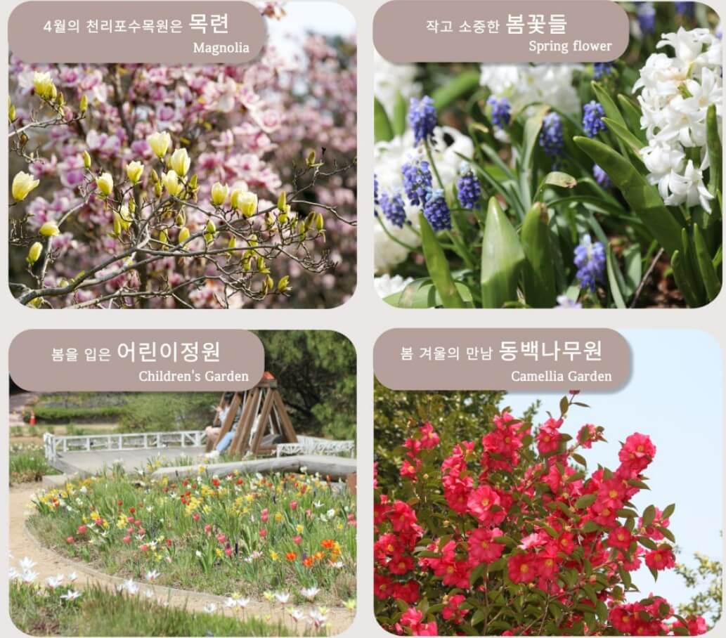 천리포수목원-꽃들3