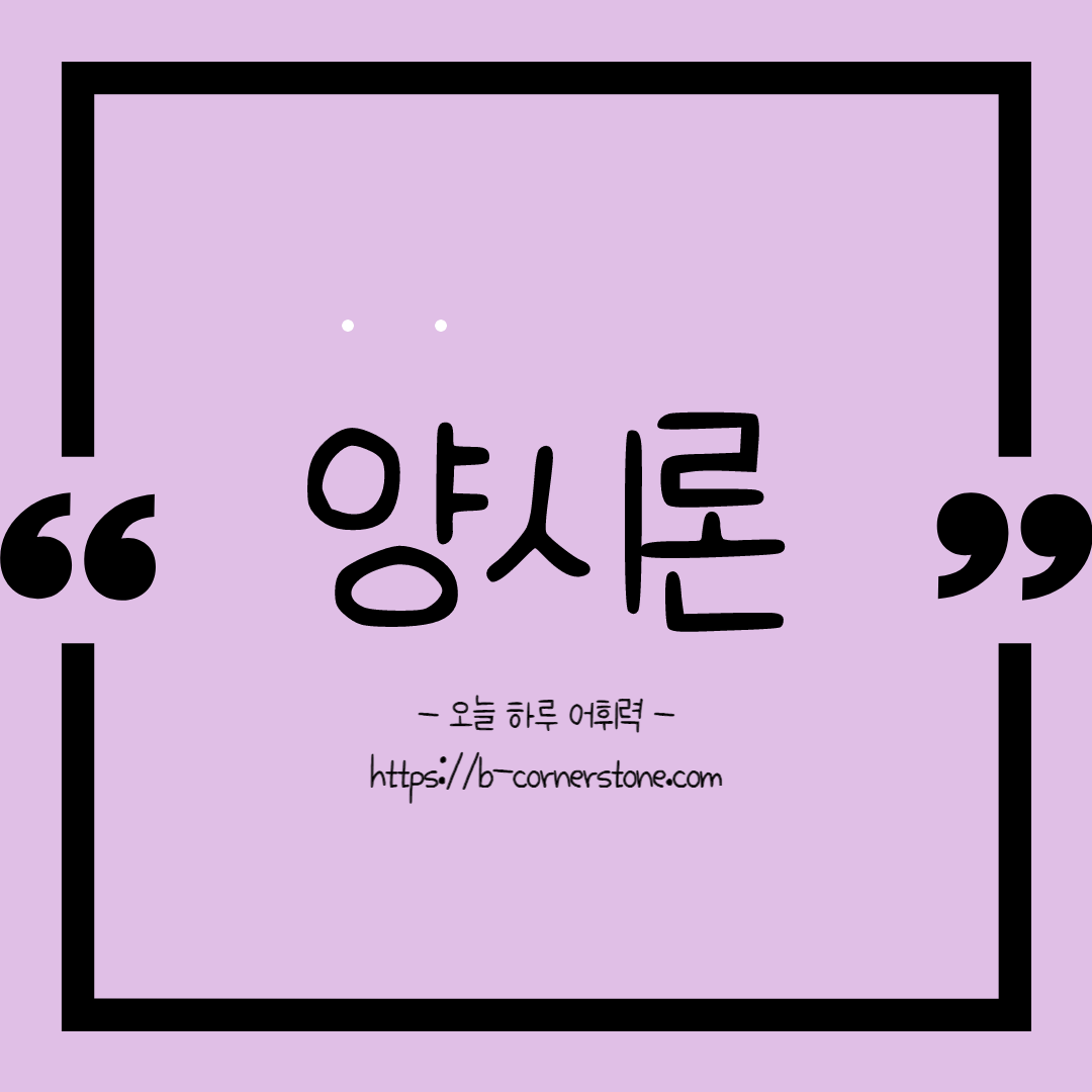 양시론 양비론