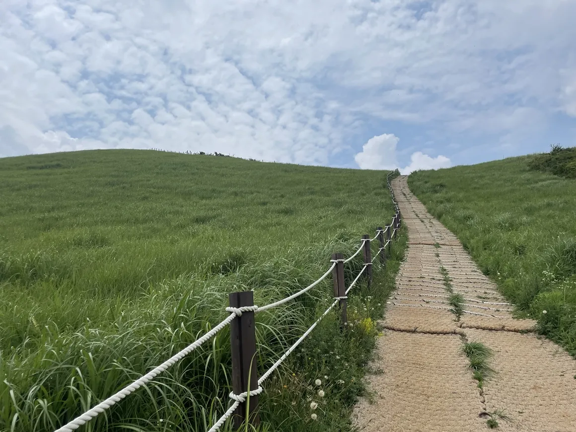 제주 새별오름 오르기 좋은 시간과 주변 명소 정리_7