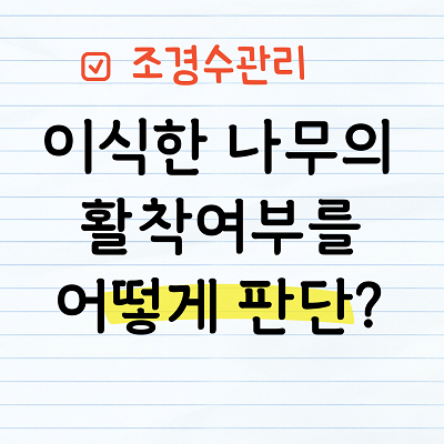 이식한 나무의 활착여부 판단기준은?