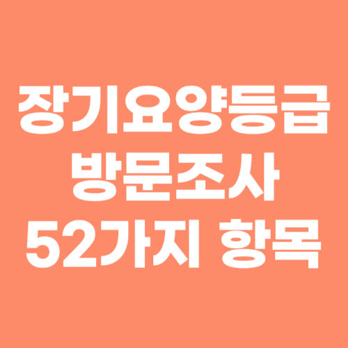 장기요양등급 방문 조사 항목