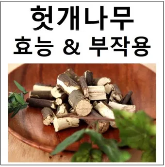 헛개나무 효능 10가지 건강에 좋은 식물 정보_5
