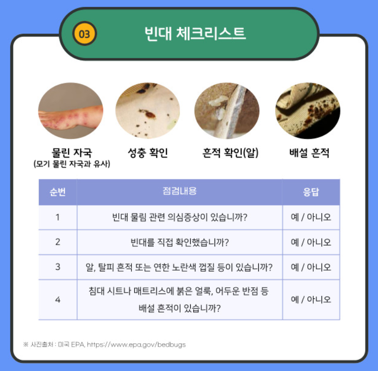 ktx 빈대