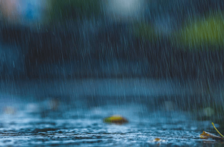 2023년 장마기간