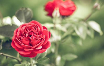 아파트 후순위담보대출