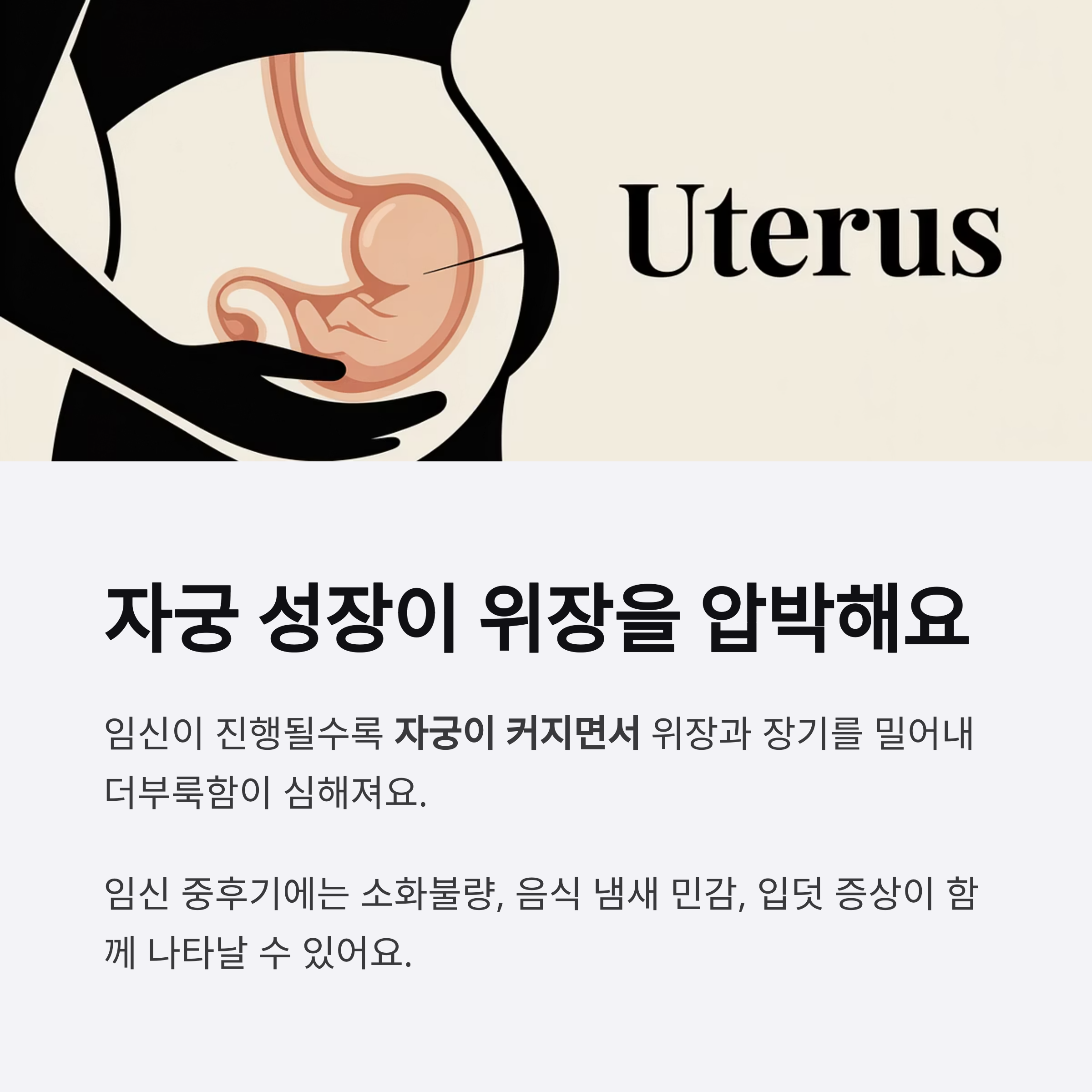 자궁이 커지면서 위장을 압박하는 모습을 나타낸 임산부 단면 일러스트와 함께, 임신 중 자궁 성장으로 인한 더부룩함을 설명한 이미지