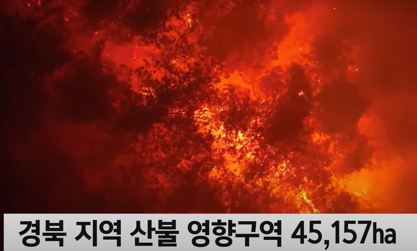 활활타고 있는 산불