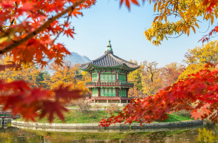 결혼16