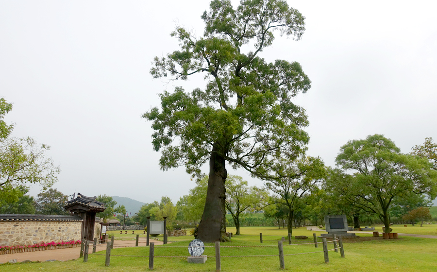 해미읍성 성내 모습
