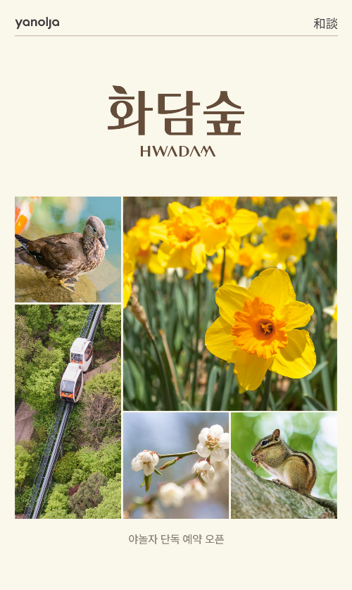 화담숲 예약 방법부터 운영시간까지! 방문 전 꼭 알아야 할 정보