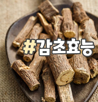 감초 효능
