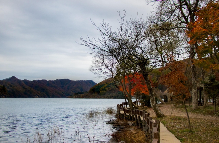 남이섬 여행팁 여행 준비 입장료 배시간표 가을단풍코스