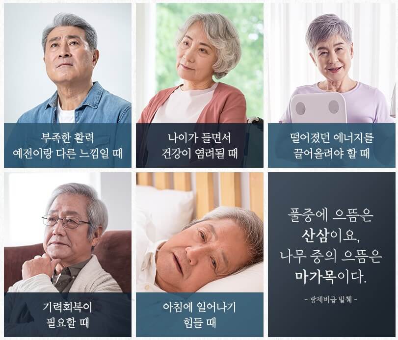 마가보감 추천
