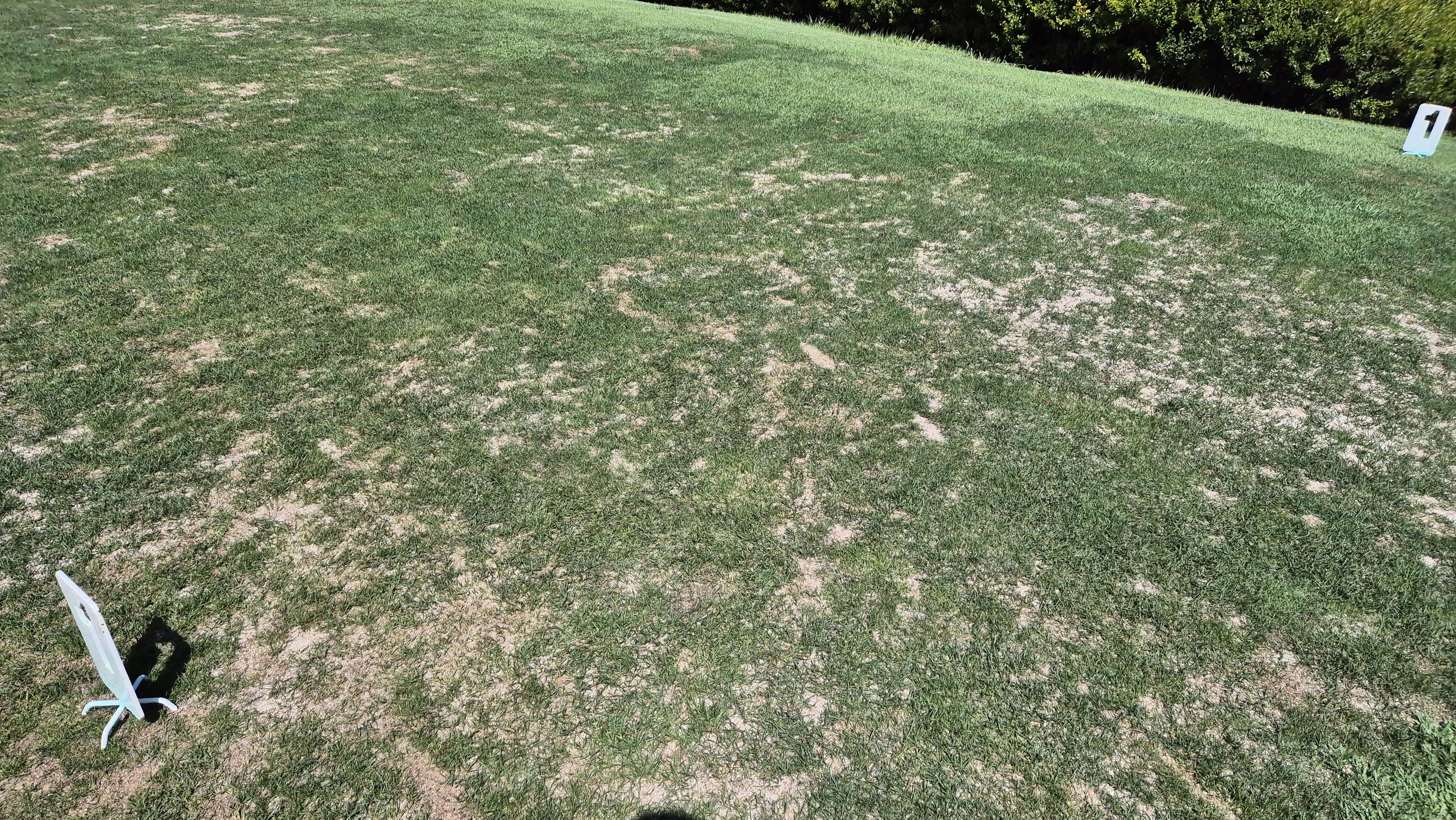 골프존카운티 천안 라운드 후기