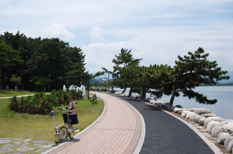 2025 대한민국 숙박 세일 페스타, 강릉여행 관련 사진