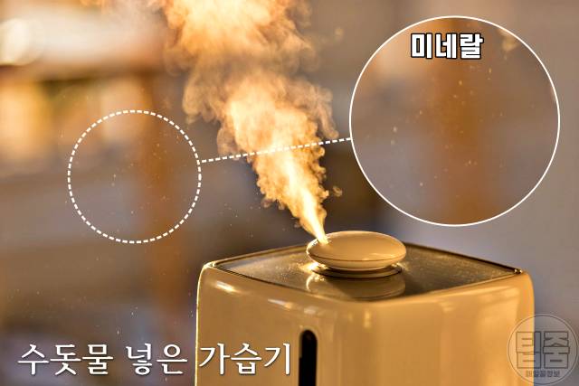 가습기 수돗물 미세먼지,가습기 정수기물 세균,팁줌