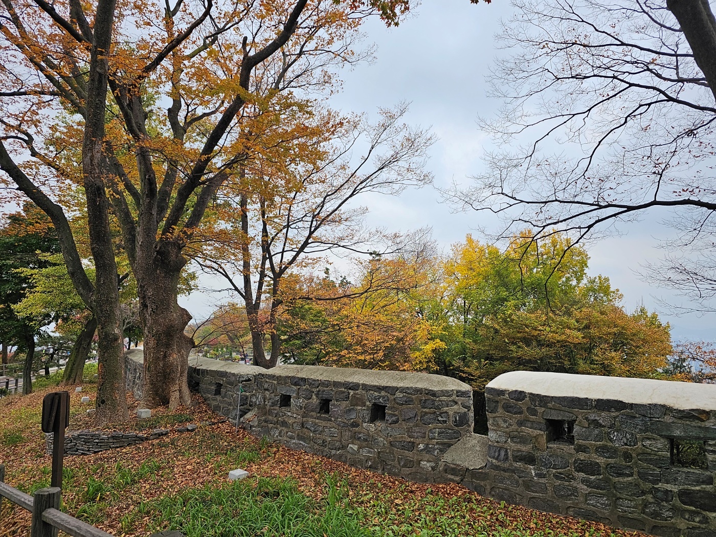 서울 남산 타워